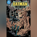 DC Comics Preview: Batman and Robin: Year One #5